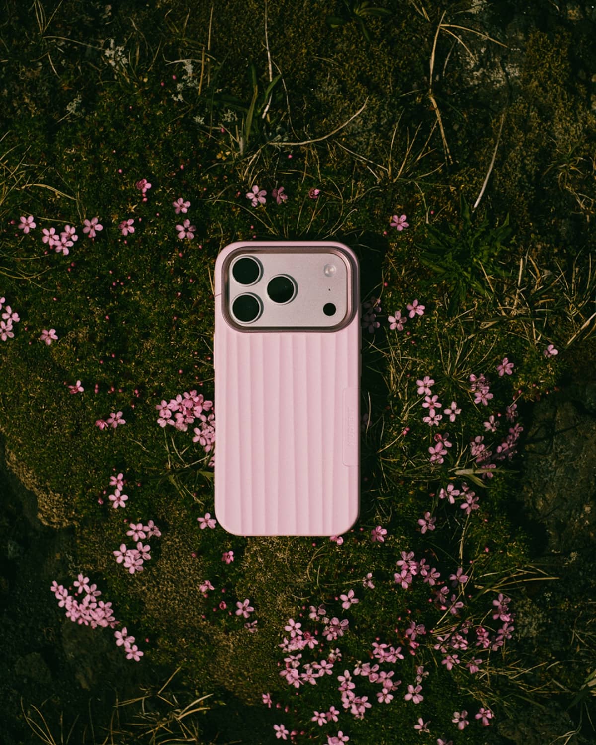 Bold Case
