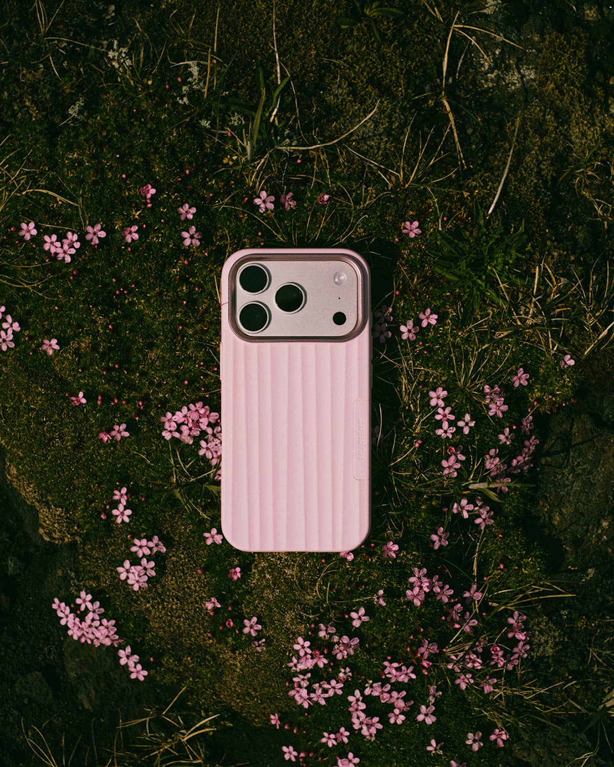 Bold Case